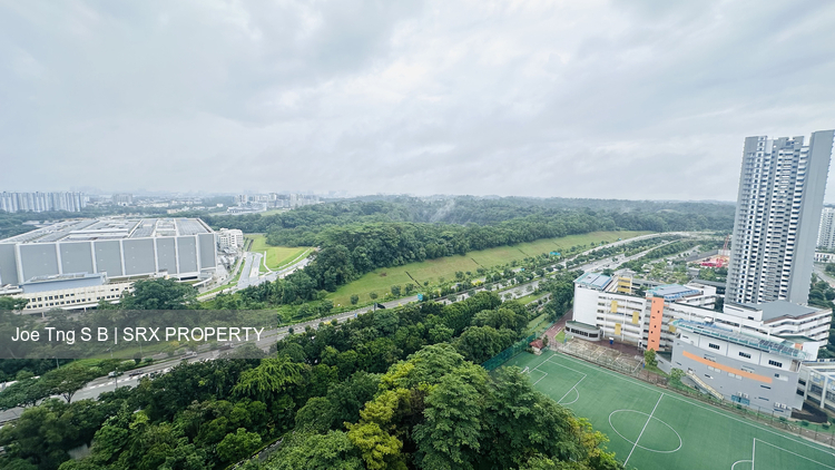 Blk 636B Senja Parc View (Bukit Panjang), HDB 4 Rooms #558975081